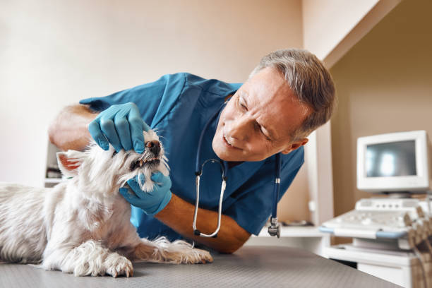 Best 24-Hour Emergency Dentist  in Prichard, AL
